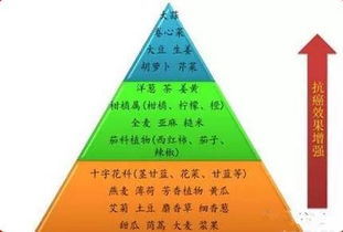 保險代理與汽車出租跨界合作 雙贏模式與廣闊前景